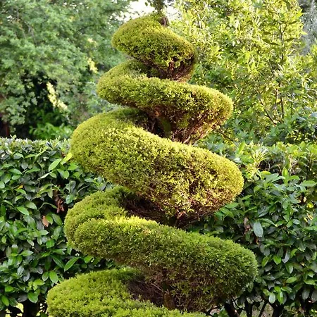 Vila Haus Tanja Malinska